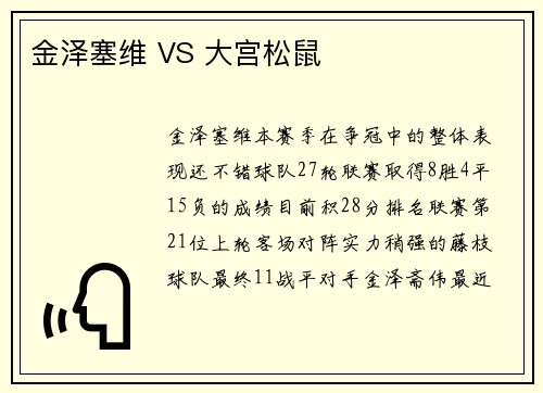 金泽塞维 VS 大宫松鼠